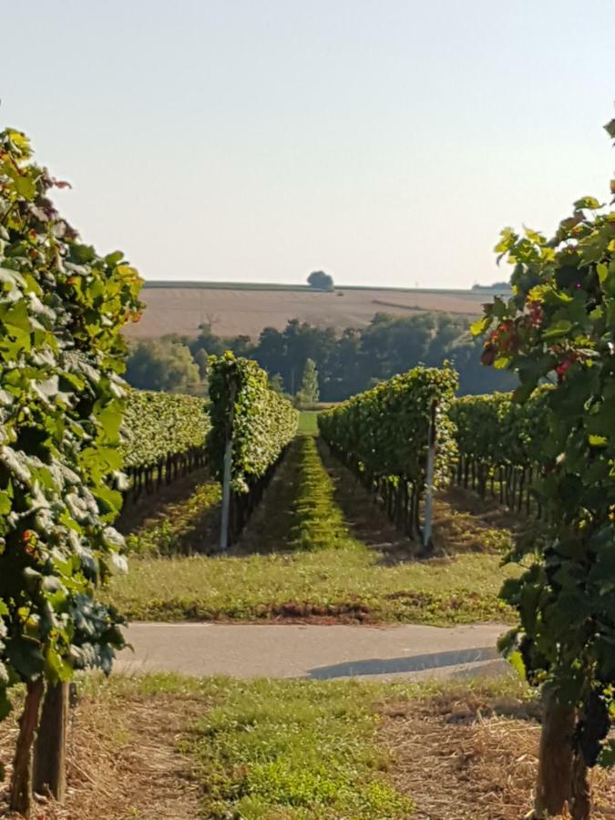 Weingut & Gaestehaus Nagel Kapellen-Drusweiler Exterior foto